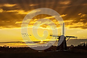 Geese flying against the sunset on the Dutch windmill