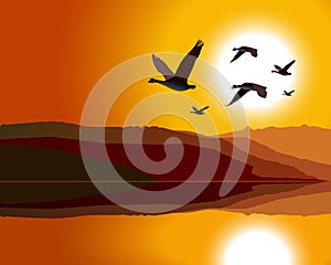 Geese flying through mountain range at sunrise/sun