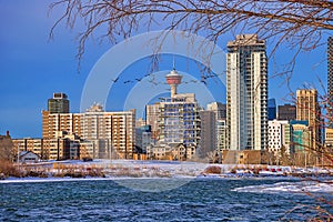 Geese Flying Over Downtown Calgary
