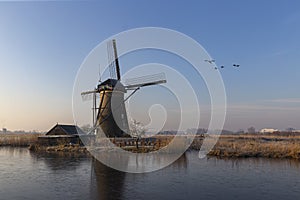Geese flying over sunrise on the frozen windmills alignment