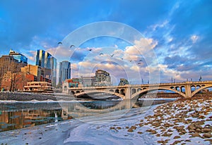 Geese Flying Over A Wintry Calgary