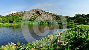 Geese on the pond