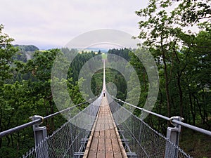 Geierlay suspension bridge