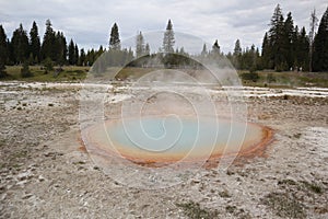 Geiser in Yellowstone National Park in Wyoming photo