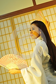 Geisha umbrella