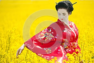 Geisha in the yellow field