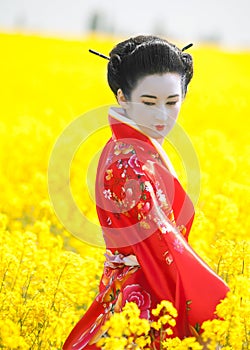 Geisha in the yellow field