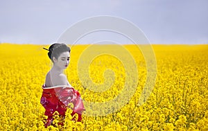 Geisha in the yellow field