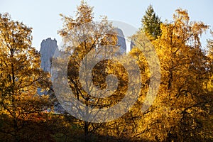 Geisler or Odle Dolomites mountain group rocks behind the autumn trees