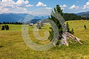 panoramic view of the Dolomites, Italy.
