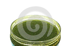 Gel body scrub fir green in a jar macro isolated on a white background