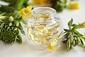 Gel capsules of evening primrose oil in a bottle with fresh plant