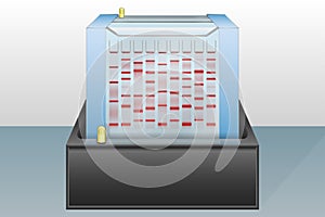 Gel electrophoresis device vector illustration