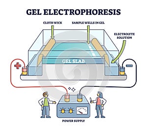 Gel electrophoresis method for separating mixtures, illustrated diagram photo