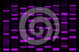 Gel electrophoresis separation electrophoretogram
