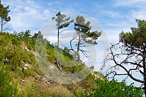 Gelendzhik, Russia coast of the sea and mountains