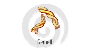 Gemelli icon animation