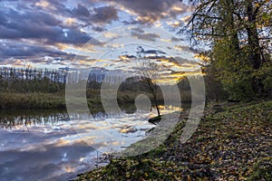 Gemenc, unique forest between Szekszard and Baja, Dunaj-Drava National Park, Hungary