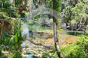 Gemini Springs in Volusia County, Florida photo