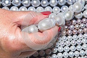 Gemologist assesses quality of pearls