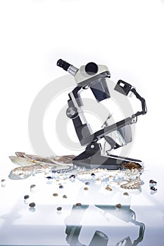 Gemologist and microscope photo