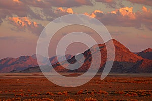 Gemsbok with orange sand dune evening sunset. Gemsbuck, Oryx gazella, large antelope in nature habitat, Sossusvlei, Namibia. Wild