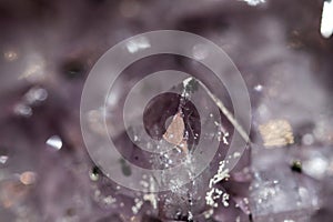 Gemstone Amethyst closeup as a part of cluster geode filled with rock Quartz crystals.