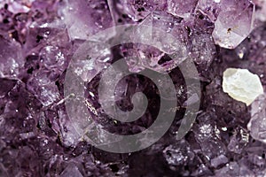 Gemstone Amethyst closeup as a part of cluster geode filled with rock Quartz crystals.