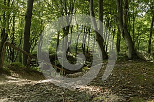 Gendarme path near Kollund, Denmark