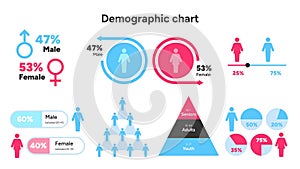 Gender and Age Demographic Analysis Vector Chart
