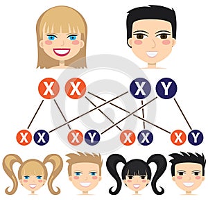 Gender dependency from chromosomes.