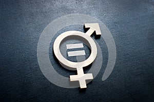 Gender equality concept. Wooden symbol and equal sign.