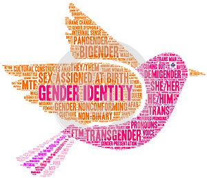 Gender Identity Word Cloud