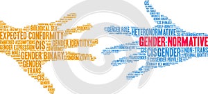 Gender Normative Word Cloud