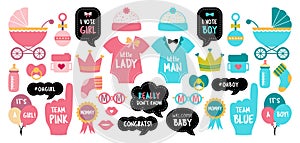 Gender reveal baby shower photo booth props