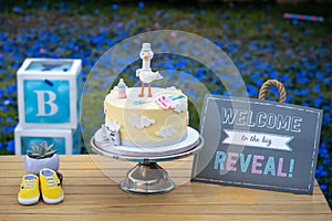 Gender reveal cake ideas for boys