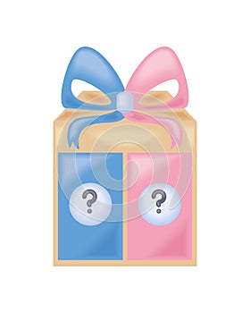 gender reveal gift box