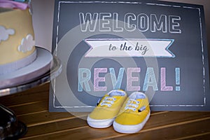 Gender reveal ideas for boys and girls