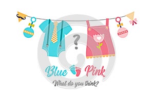 Gender reveal party, baby shower, boy or girl photo