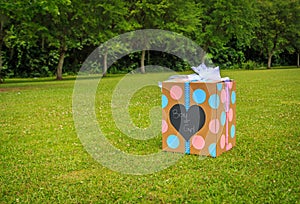 Gender Reveal Party Box photo