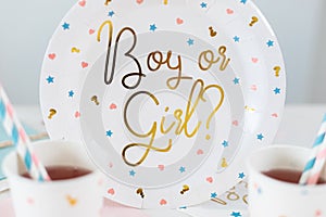 Gender reveal party - It`s a Boy or Girl