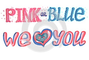 Gender reveal party words pink or blue we love you photo