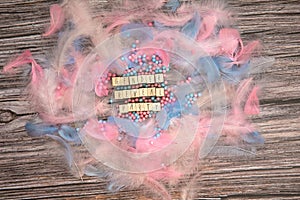 Gender reveal party written with wooden cubes surrounded with colorful bright pastel feathers for baby.boy,girl,party