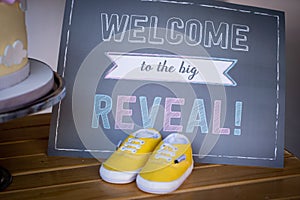 Gender reveal sign ideas for boys and girls