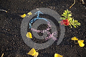 Gender symbol on asphalt, gender concept