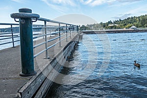 Gene Coulon Park Pier