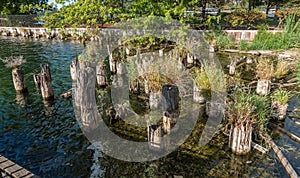 Gene Coulon Park Pilings