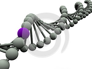 Gene in DNA