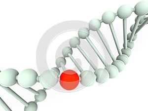 Gene in DNA