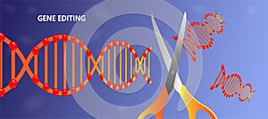 Gene editing illustration, Dna engineering. Vector illustration